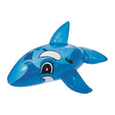 Baleia Rider Transparente